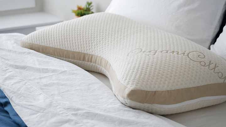 Coop Bed Pillows Home Goods For Sleeping