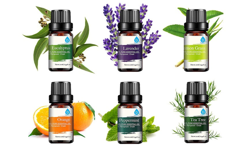 Best Blends Set Of Six 100% Pure Essential Oil
