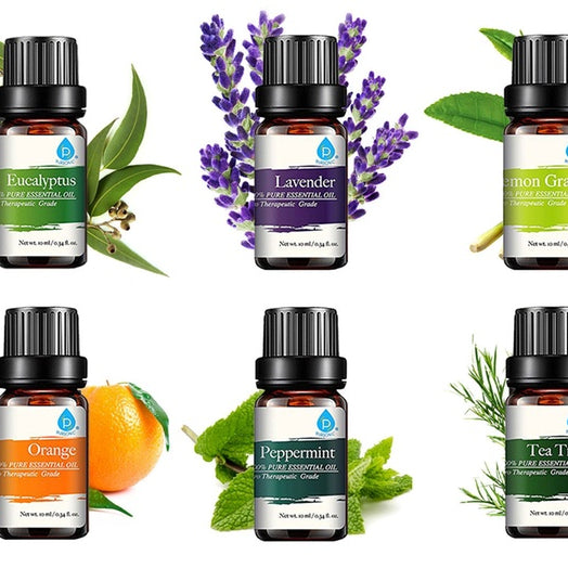 Best Blends Set Of Six 100% Pure Essential Oil